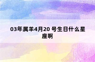 03年属羊4月20 号生日什么星座啊